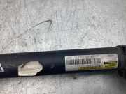 Federbein links vorne Mercedes-Benz C-Klasse Cabriolet A205 A2053207913
