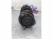 Federbein rechts vorne Toyota Yaris Verso P2