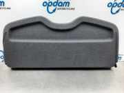 Hutablage Renault Clio III BR0/1, CR0/1