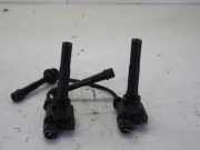 Zündspule Suzuki Alto VI FF 83E13X16