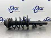 Federbein links vorne VW Transporter T5 Multivan 7H0413031N