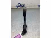 Sensor für Gaspedalstellung Ford Kuga III DFK LX619F836AB