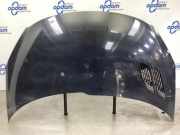 Motorhaube Peugeot 206+ T3E 7901R5
