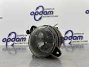 Nebelscheinwerfer rechts vorne Skoda Fabia II 542 7H0941700C