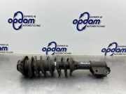 Federbein links vorne Suzuki Alto VI FF 41602M79G00