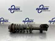 Federbein rechts vorne Suzuki Alto VI FF 41601M79G00