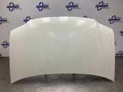 Motorhaube VW Caddy III Kasten 2KA 1T0823031D