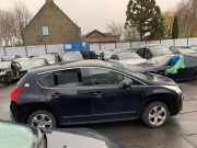 Schwellerleisten Peugeot 3008 I