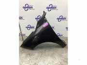 Kotflügel links vorne Renault Megane III Coupe DZ 631017297R