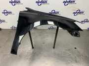 Kotflügel rechts vorne VW Polo V 6R, 6C 6R0821106H