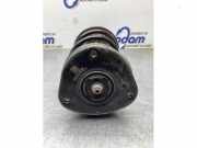 Federbein links vorne Ford Focus IV HN JX6118K001