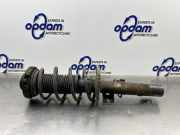 Federbein links vorne Audi A2 8Z 8Z0413031AD