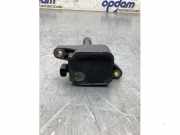 Zündspule Renault Grand Scenic III JZ 224337085R