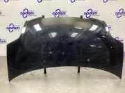 Motorhaube Kia Picanto 1 SA 6640007020