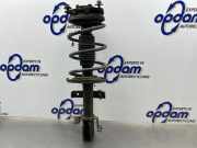 Federbein links vorne Renault Clio III BR0/1, CR0/1 8200556694