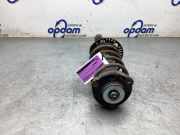 Federbein links vorne Skoda Fabia 6Y 6Q0413031BH