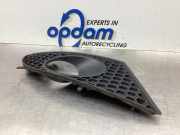 Lüftungsgitter für Stoßfänger Seat Leon 1P 1P0853666A9B9