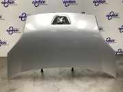 Motorhaube Peugeot Bipper