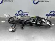 Kabelbaum Toyota RAV 4 V A5, H5 8218442A70