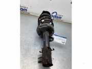 Federbein links vorne Fiat Doblo Kasten 263 TS3034