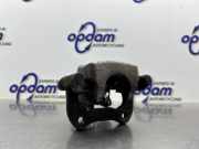 Bremszange rechts hinten Renault Clio III BR0/1, CR0/1 7701208362