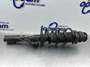 Federbein rechts vorne Skoda Fabia II Kombi 545 6Q0413031BL