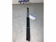 Heckklappendämpfer Nissan Qashqai II J11 904504EA1A