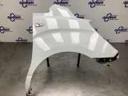 Kotflügel rechts vorne Hyundai H-1 Cargo TQ 663214H501