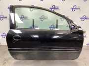 Tür rechts Peugeot 206+ T3E 9004K6