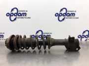 Federbein rechts vorne Suzuki Alto VI FF 41601M79G00