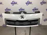 Kühlergrill Peugeot Expert II Kasten VF 1608230580
