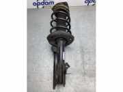 Federbein rechts vorne Nissan Qashqai J10 824903009192