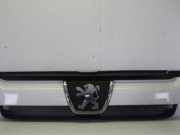 Kühlergrill Peugeot Boxer Kasten 244