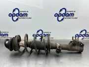 Federbein links vorne Fiat Panda 169 51857301