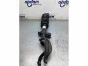 Federbein links vorne BMW X5 G05, F95 16997810