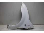 Kotflügel links vorne Citroen C2