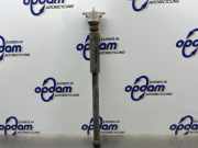 Stoßdämpfer rechts hinten Ford Fiesta VI CB1, CCN C1BC18080MD