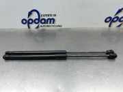 Heckklappendämpfer Hyundai i10 IA 81770B9010