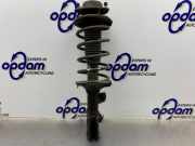 Federbein rechts vorne Hyundai Getz TB 546601C200