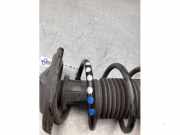 Federbein links vorne Skoda Kamiq NW4 2Q0413031DS