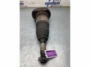 Federbein rechts hinten BMW 5er Touring G31 814903014872