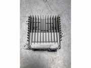 Audio-Verstärker Renault Megane III Grandtour KZ 280639878R