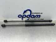 Heckklappendämpfer Hyundai i10 PA 817700X001