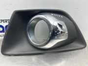 Nebelscheinwerferkappe Ford EcoSport CN1515A299