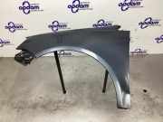 Kotflügel links vorne VW Polo IV 9N, 9A 6Q0821105E