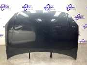 Motorhaube VW Polo IV 9N, 9A 6Q0823031J