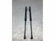 Heckklappendämpfer Nissan Micra V K14 904505FA1A