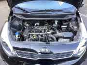 Motor ohne Anbauteile (Benzin) Kia Rio III UB