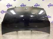 Motorhaube Daihatsu Sirion M3