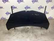 Motorhaube Toyota Aygo B1 533010H010